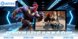 Kinh Nghiệm Chơi Cá Cược Bất Bại Cho Mọi Hội Viên 2026